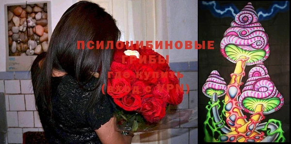 a pvp Балабаново